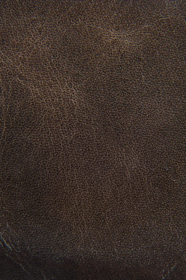 Frye Logan Billfold Flash Sale