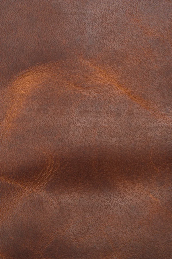 Frye Logan Messenger Cognac New