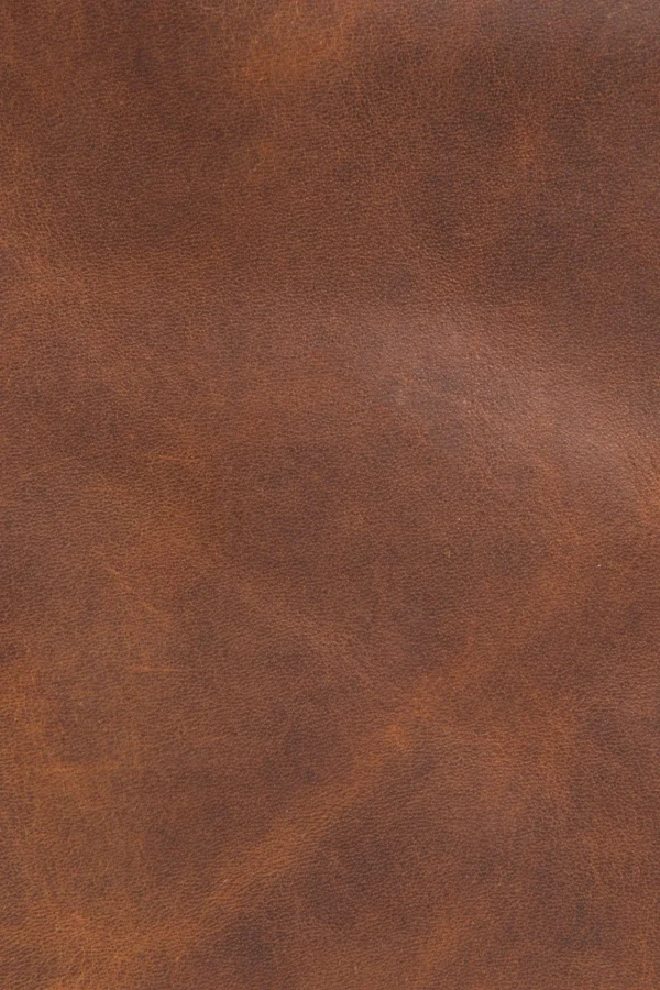 Frye Logan Multi Zip Backpack Clearance