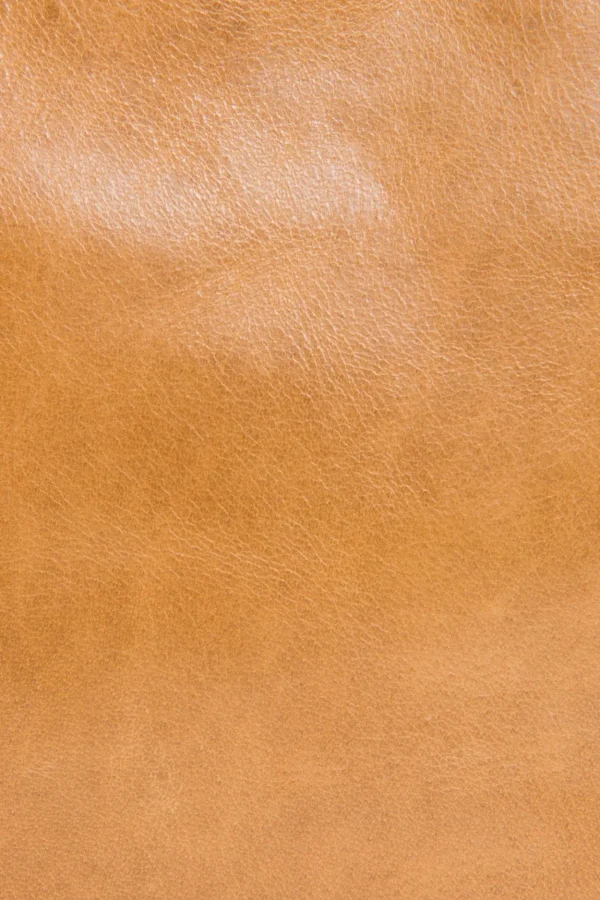 Frye Melissa Swing Pack Discount